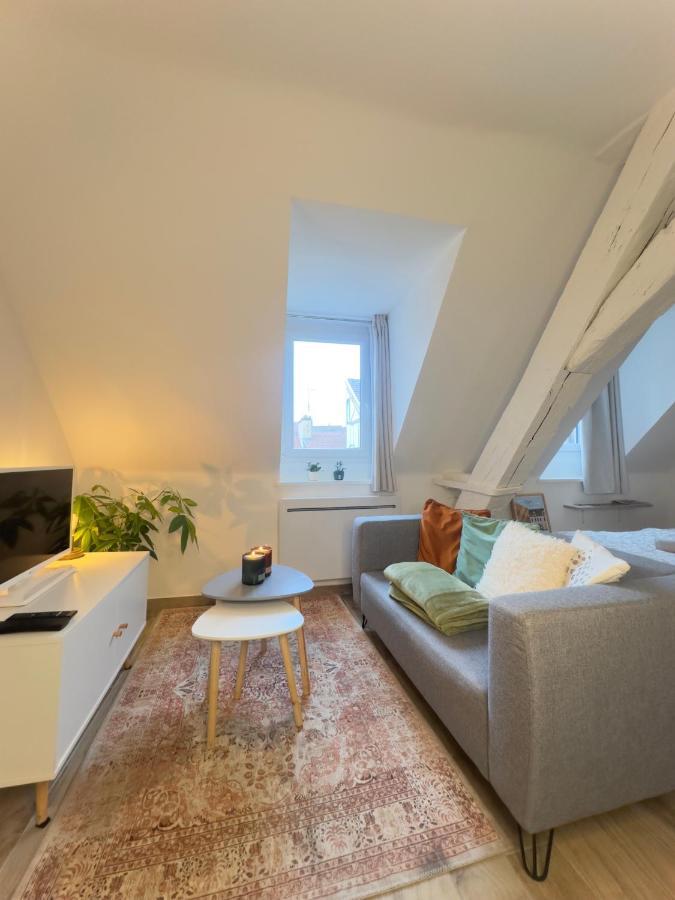 Le Charme Dubois Apartment Dijon Exterior foto